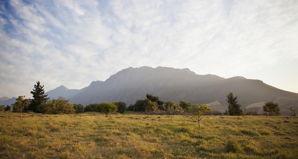 Rozendal Farm Cottage Municipalità locale di Municipalità locale di Stellenbosch Esterno foto