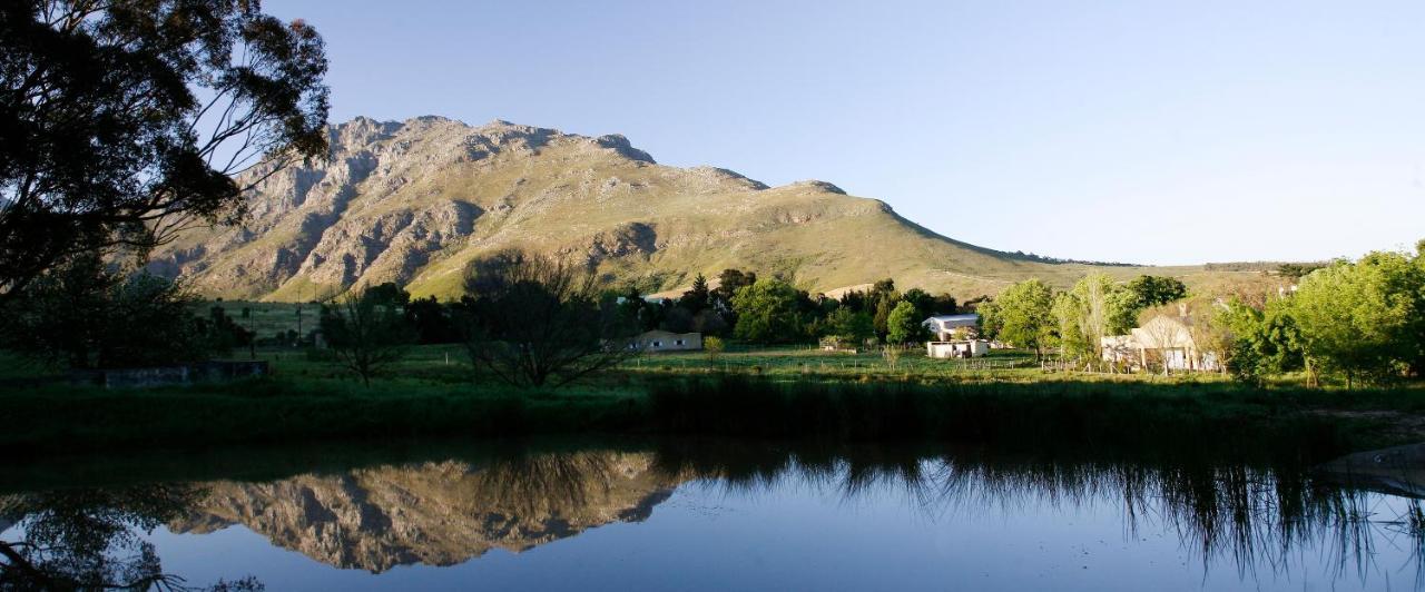 Rozendal Farm Cottage Municipalità locale di Municipalità locale di Stellenbosch Esterno foto